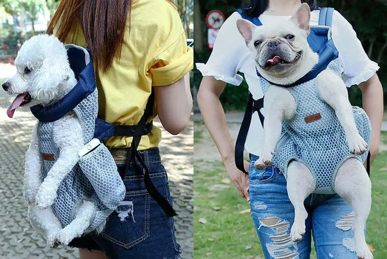 Front Style French bulldog cool backpack