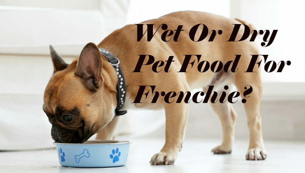 Mixing Wet And Dry Pet Food For French 