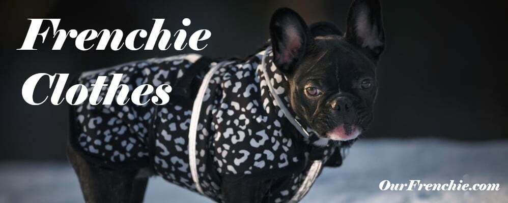 frenchie dog sweater