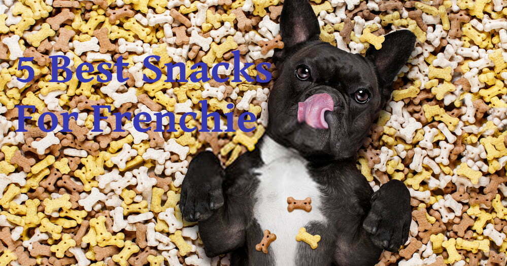 good treats for french bulldogs
