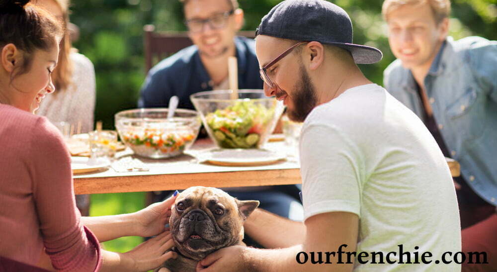 French bulldog with people by table