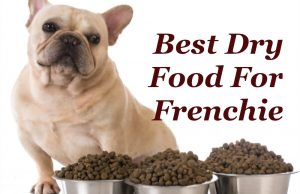 Dry Dog Food For French bulldog