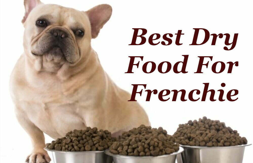 hill's science diet french bulldog