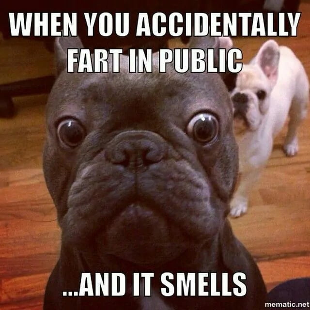 Frenchie Farting meme. Are French bulldogs good pets?