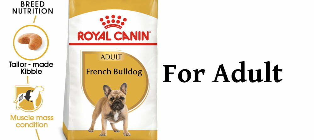 Royal Canin Dog Food For French Bulldogs Adults