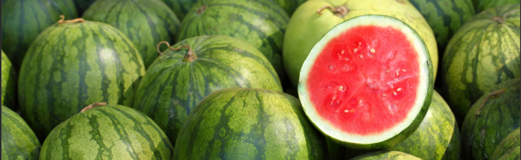 Highly recommended fruit for French bulldog is watermelon