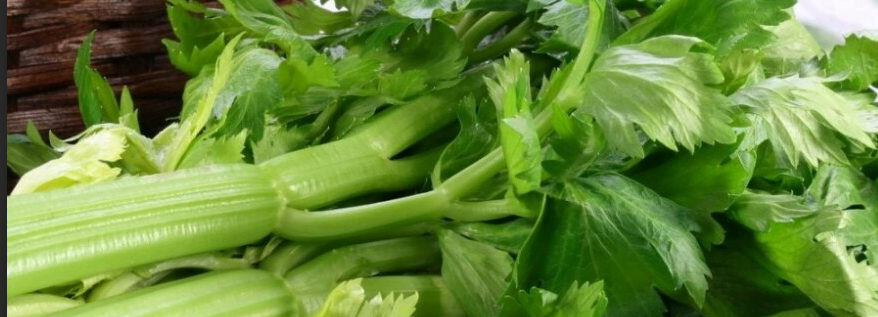 Healthy heart vegetables for French bulldogs - celery