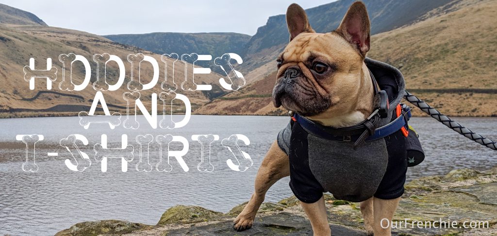 OurFrenchie