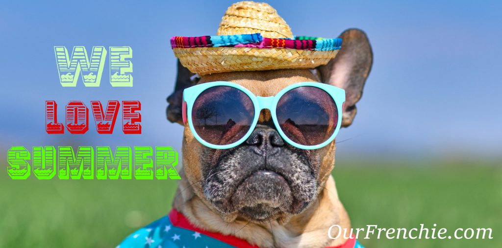 OurFrenchie