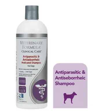 Frenchie shampoo by veterinary formula