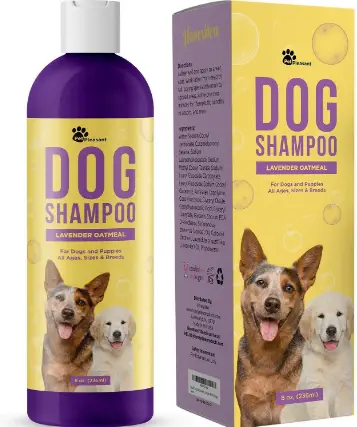 Perfect dog shampoo for French bulldogs