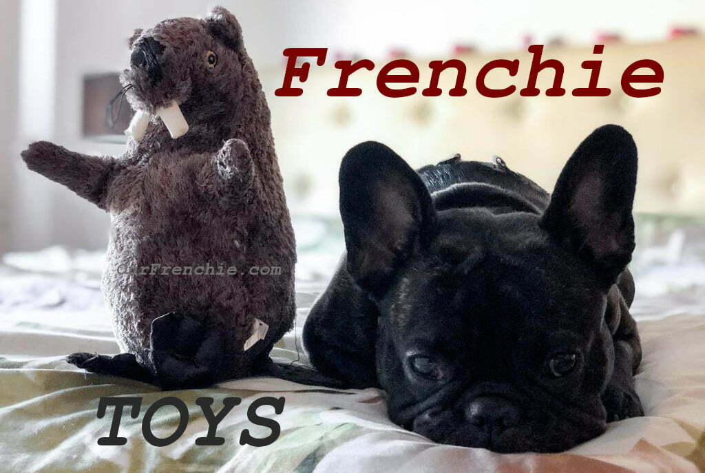 Top French Bulldog Toys For Learning