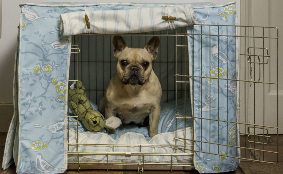 French bulldog crate training