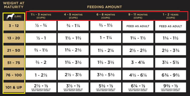 French bulldog feeding chart example