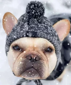 Warm Hat For French Bulldog