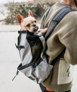 French Bulldog Travel Backpack