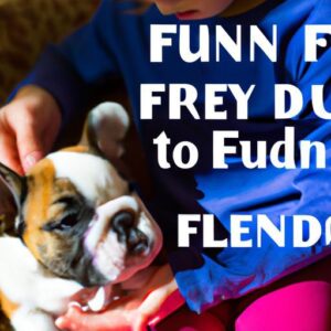 How to Introduce a French Bulldog to Kids